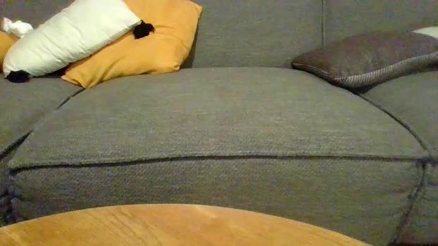 lovetmoi toys Webcam SHOW @ Cam4 13-12-2025