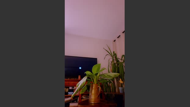 LissaBoob sexykitty Webcam SHOW @ Cam4 13-12-2025