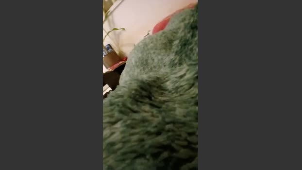 alessandravite1 pussy Webcam SHOW @ Cam4 14-12-2025