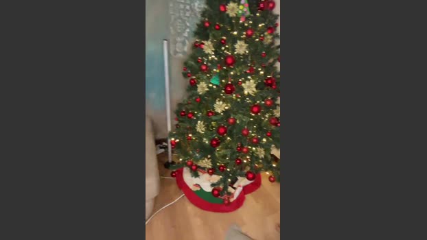 Sky_Eyes8284 lick Webcam SHOW @ Cam4 18-12-2025