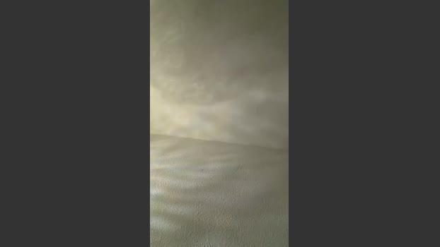 Sofiaydaniel lickpussy Webcam SHOW @ Cam4 21-12-2025