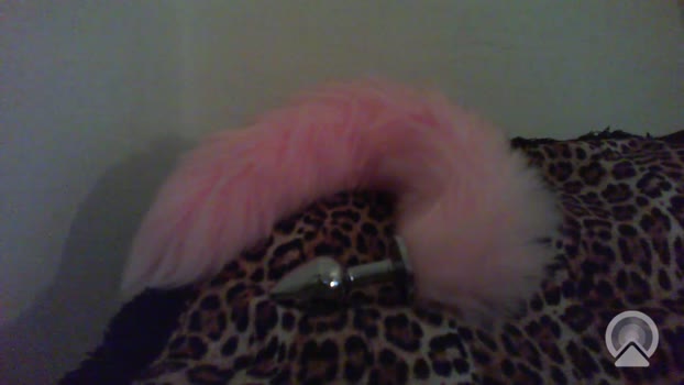 Crystal9898 Naked Webcam SHOW @ Cam4 22-12-2025