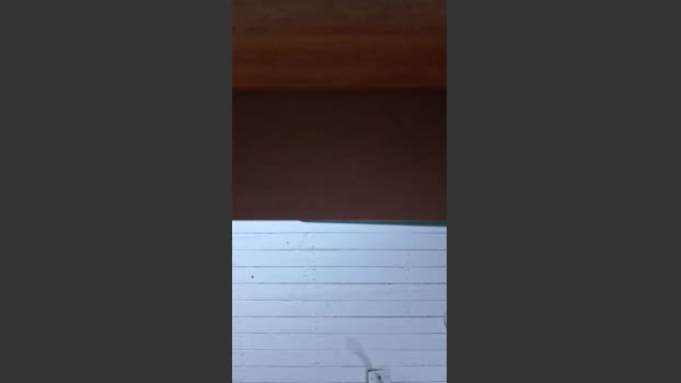 Caritovivi tits Webcam SHOW @ Cam4 24-12-2025