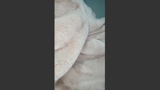 FoxySpanks sucktits Webcam SHOW @ Cam4 24-12-2025