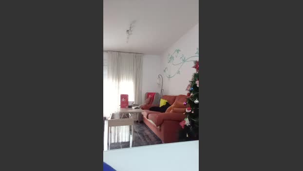 Cristinitapija fuck Webcam SHOW @ Cam4 26-12-2025
