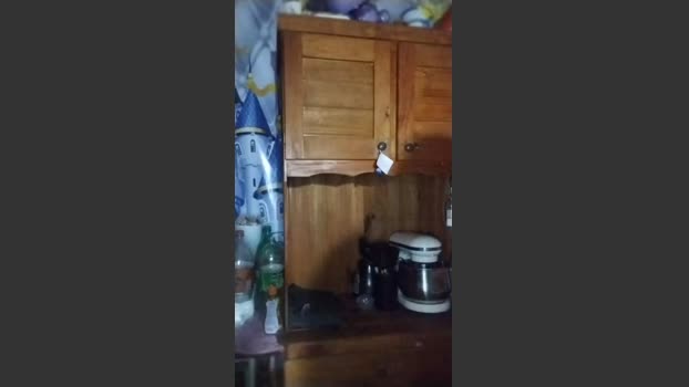 alixa3 Ass Webcam SHOW @ Cam4 27-12-2025