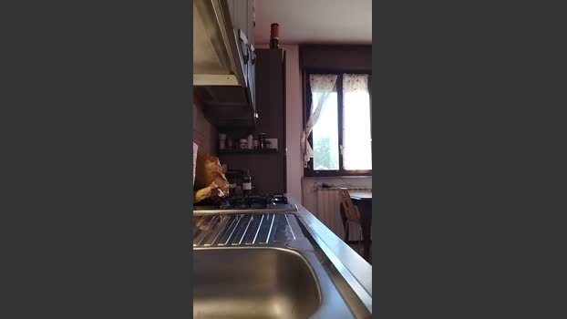 luxxuriax lovense Webcam SHOW @ Cam4 27-12-2025