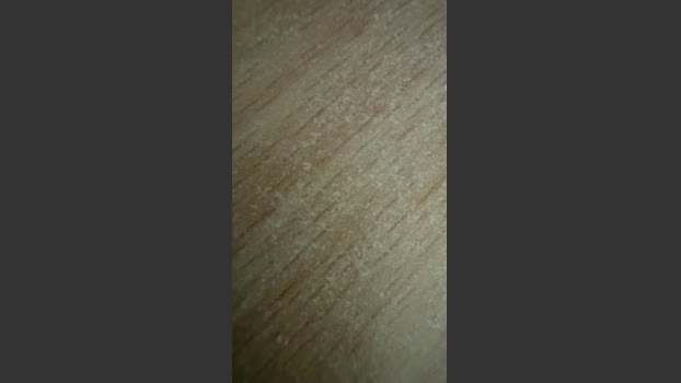 Reshel91 fuckhard Webcam SHOW @ Cam4 29-12-2025