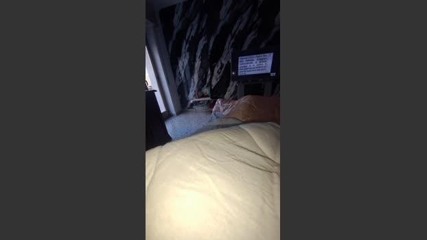 Diavoletta77 Cam Webcam SHOW @ Cam4 30-12-2025