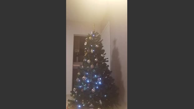 pregnanhot lickpussy Webcam SHOW @ Cam4 31-12-2025