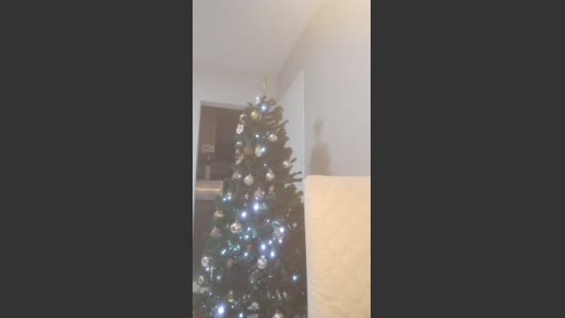 pregnanhot amateur Webcam SHOW @ Cam4 31-12-2025