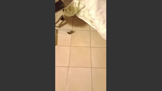 Lacoppia9679 natural Webcam SHOW @ Cam4 01-01-2026