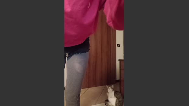 Lacoppia9679 Video Webcam SHOW @ Cam4 01-01-2026