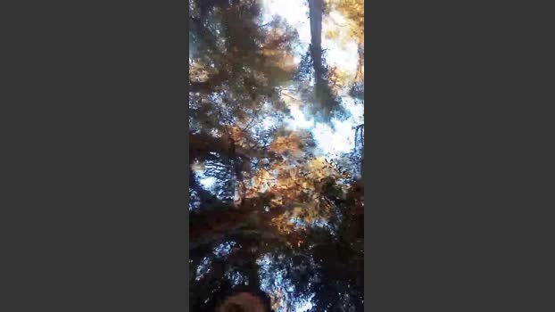 KalosGyne horny Webcam SHOW @ Cam4 03-01-2026