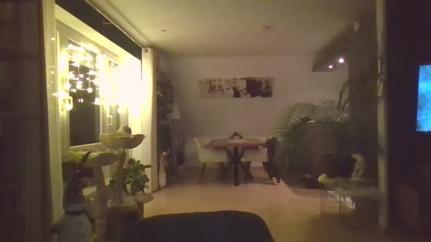 Mr_und_Mrs_Foxi legs Webcam SHOW @ Cam4 03-01-2026