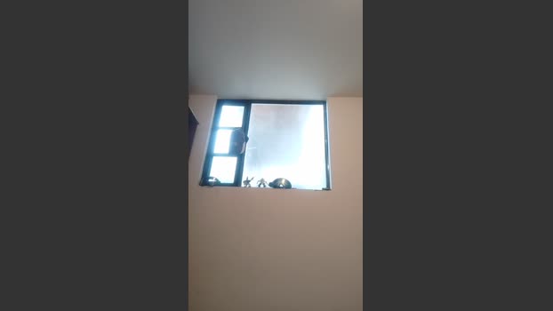 Haily_44 sexybody Webcam SHOW @ Cam4 04-01-2026