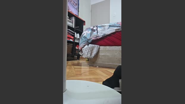 Karoyde1 jerkoff Webcam SHOW @ Cam4 06-01-2026