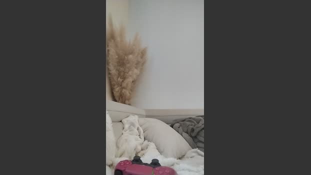 Asiancat83 wank Webcam SHOW @ Cam4 08-01-2026