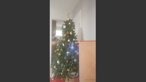 pregnanhot ass Webcam SHOW @ Cam4 10-01-2026