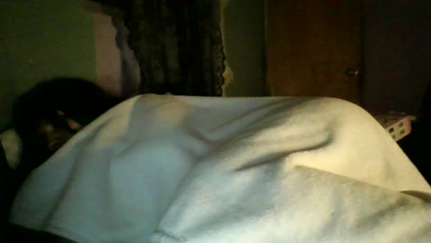 Cybikoo pussy Webcam SHOW @ Cam4 11-01-2026