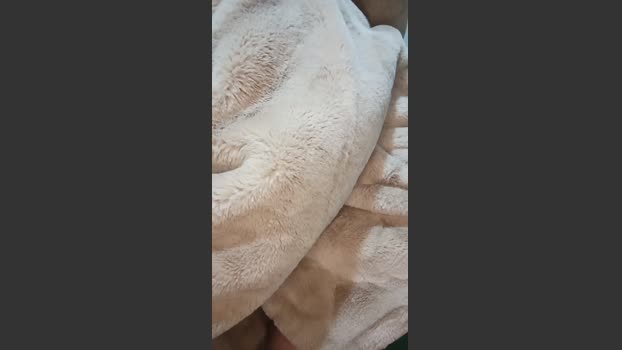 FoxySpanks squirt Webcam SHOW @ Cam4 17-01-2026