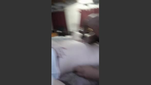 Ludovicax toy Webcam SHOW @ Cam4 18-01-2026