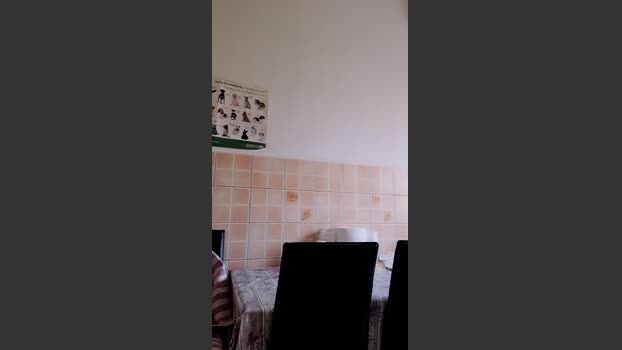 mariaperla lush Webcam SHOW @ Cam4 19-01-2026