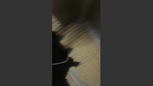joselinee2 bigcock Webcam SHOW @ Cam4 24-01-2026