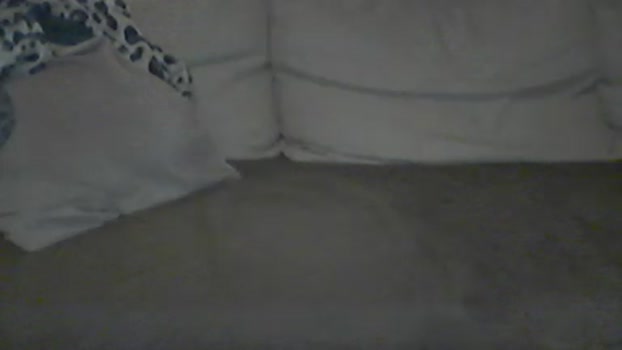 sapessi3 legs Webcam SHOW @ Cam4 25-01-2026