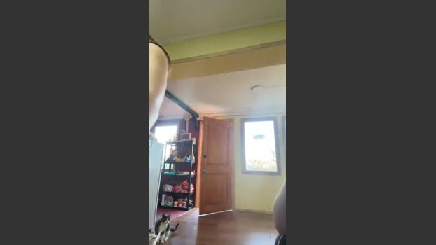 Cookietwo oral Webcam SHOW @ Cam4 31-01-2026