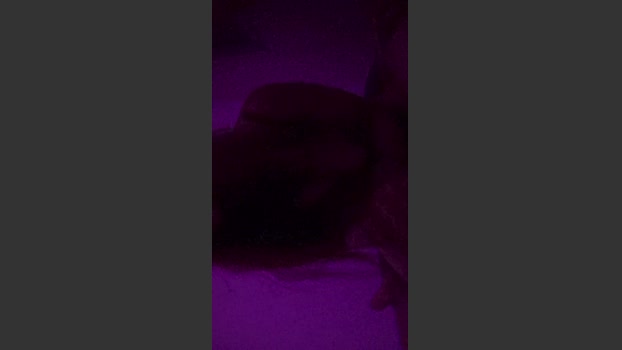 Magii_chavarria hardcore Webcam SHOW @ Cam4 04-02-2026