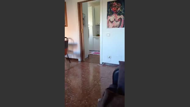 noicoppia71 orgasm Webcam SHOW @ Cam4 05-02-2026