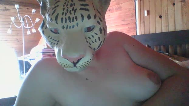 Poussy_Tiger Recorded Webcam SHOW @ Cam4 06-02-2026