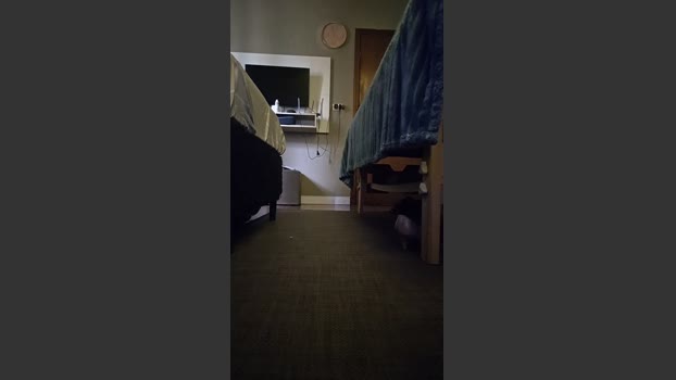 michelletiago fuck Webcam SHOW @ Cam4 09-02-2026