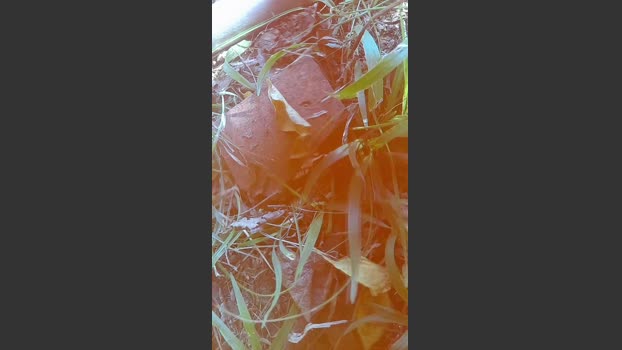 Diablasexx toys Webcam SHOW @ Cam4 10-02-2026