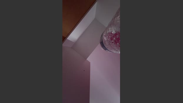 Reshel91 fuckface Webcam SHOW @ Cam4 11-02-2026