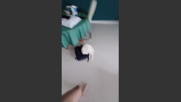 Manonxnib skinny Webcam SHOW @ Cam4 11-02-2026