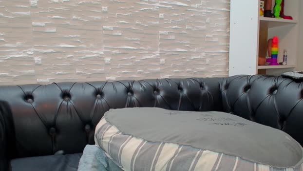 AmelieAndRoss Download Webcam SHOW @ Cam4 14-02-2026