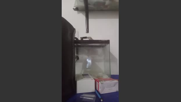 Burbuja2001 ass Webcam SHOW @ Cam4 15-02-2026