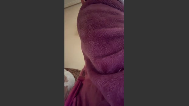 Tekiila05 tits Webcam SHOW @ Cam4 15-02-2026