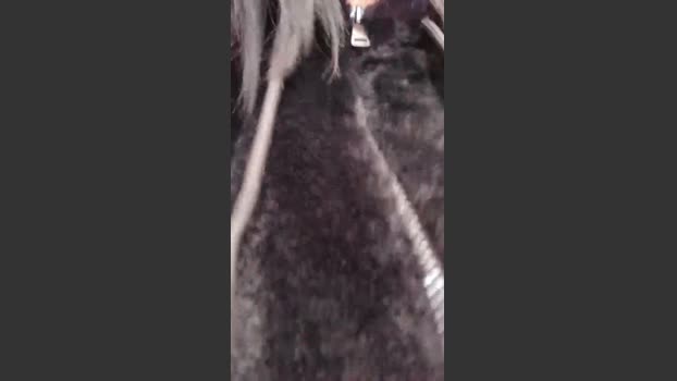 Adelaide986 suck Webcam SHOW @ Cam4 18-02-2026