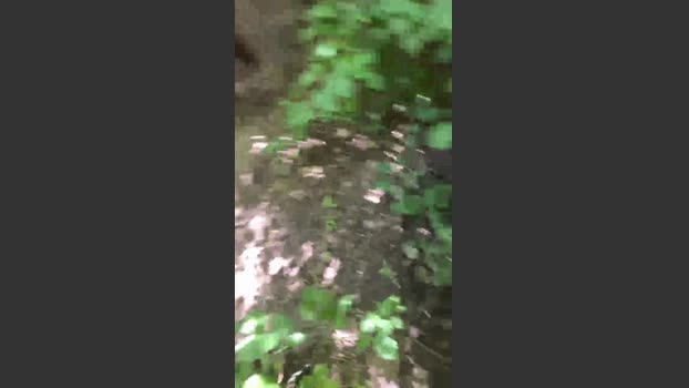 charlotte_milf3 lick Webcam SHOW @ Cam4 17-02-2026