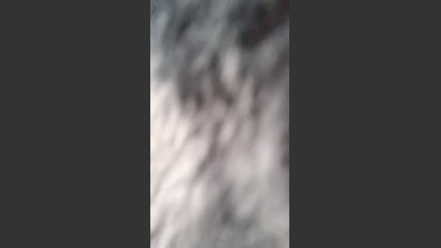 Adelaide986 big Webcam SHOW @ Cam4 19-02-2026