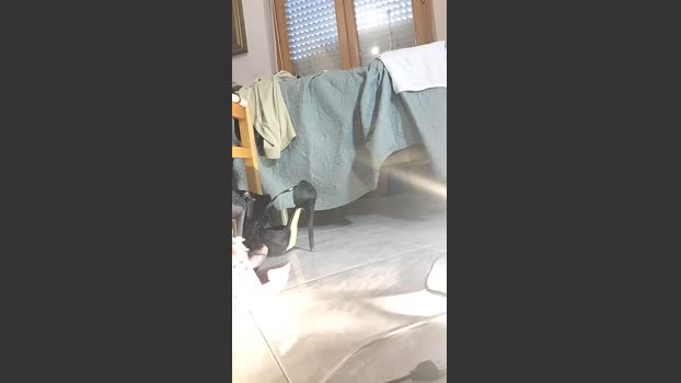 Annarellapika squirt Webcam SHOW @ Cam4 19-02-2026
