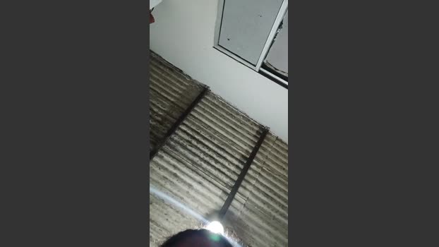 Asprimasgostosa analtoy Webcam SHOW @ Cam4 18-02-2026