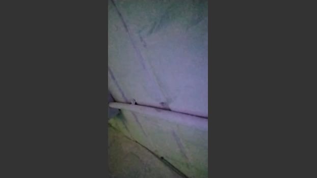 anamariaaran sexyfeet Webcam SHOW @ Cam4 19-02-2026
