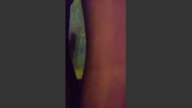 Scarlet699 amateur Webcam SHOW @ Cam4 20-02-2026