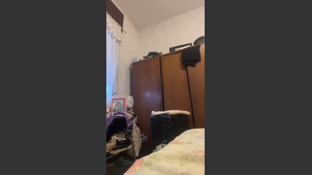 luli236