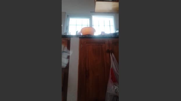 almondwithlove boobs Webcam SHOW @ Cam4 24-02-2026