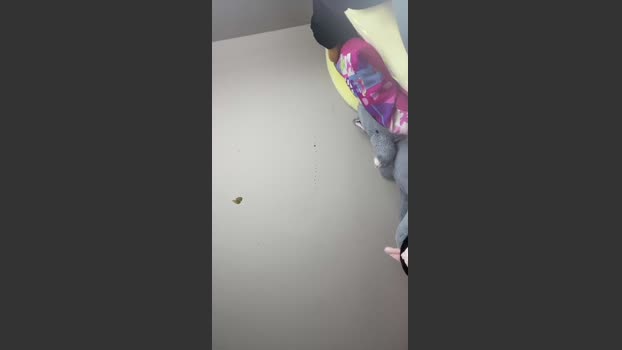 tetonaswettie24 blowjob Webcam SHOW @ Cam4 24-02-2026